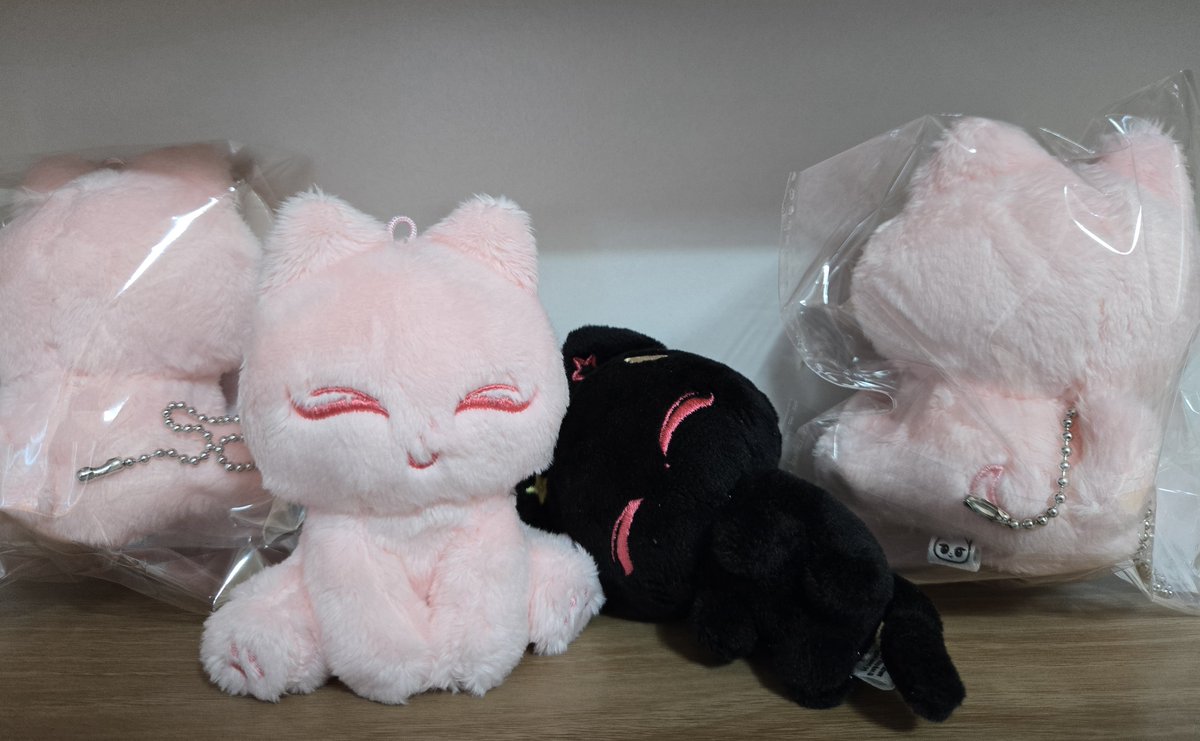 젤냥이 왔다!! 너무너무 귀여움ㅠㅠ