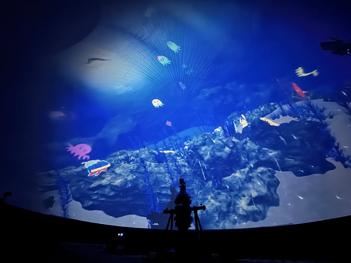 🦀無料・入退場自由🐠
🪼デジタルぬりえinプラネタリウム🦐

全天周ドームに投映された海に、自分の絵が泳ぎだすデジタル×アート体験！小さなお子様も気軽にご参加可能です♪
【日時】1月30日(金)10:00～12:00／14:00～17:00
詳細はこちら→nicesacademia.jp/zero/planetari…