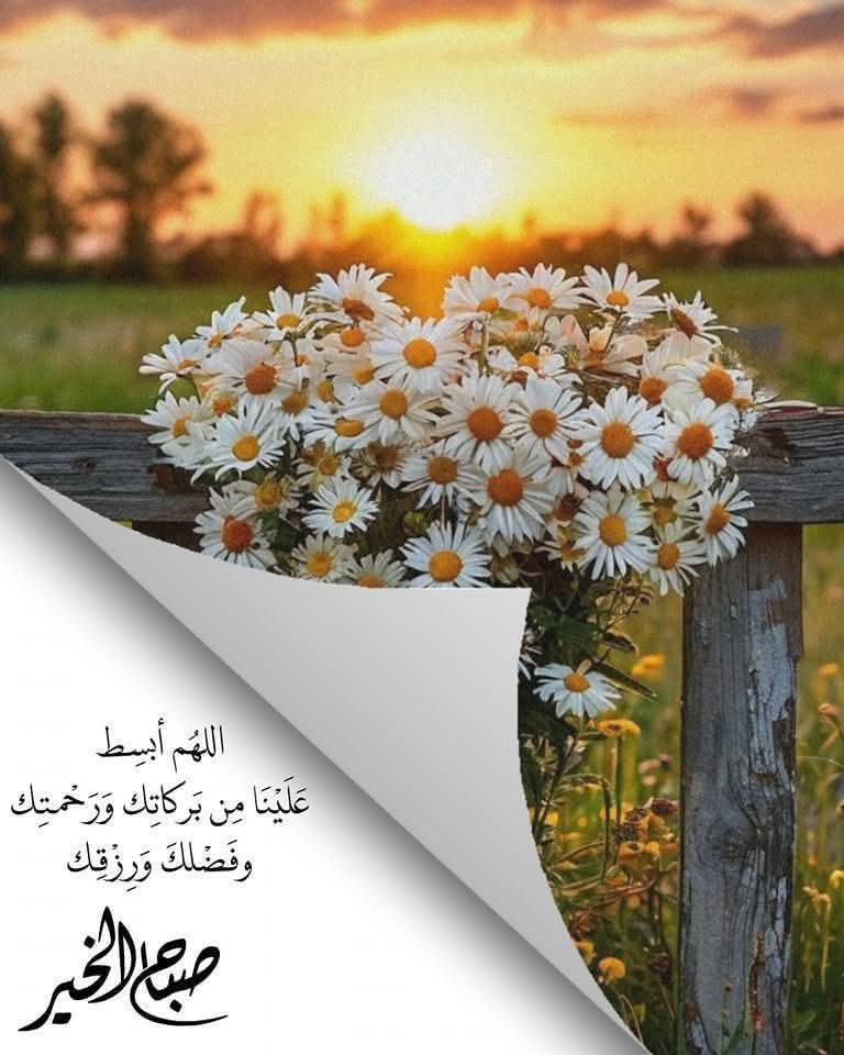 ملك الاحساس (@_a_a_777) on Twitter photo 