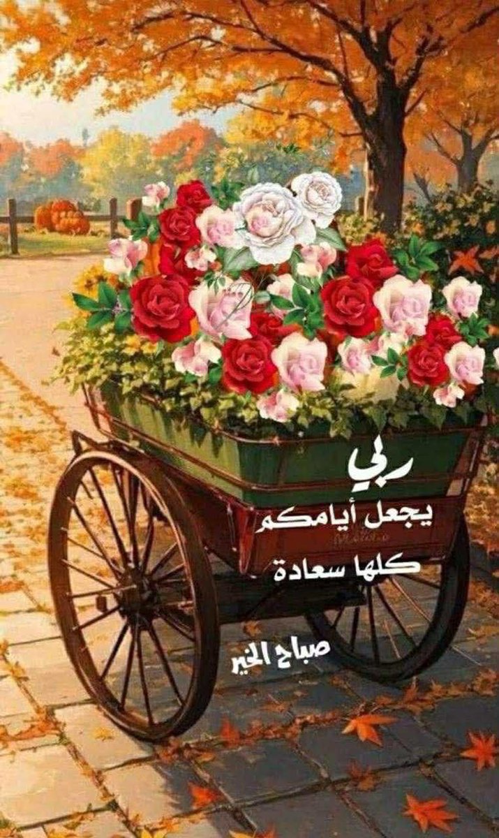 نـ♣︎ـوٌرٍ 𓋜 tweet media