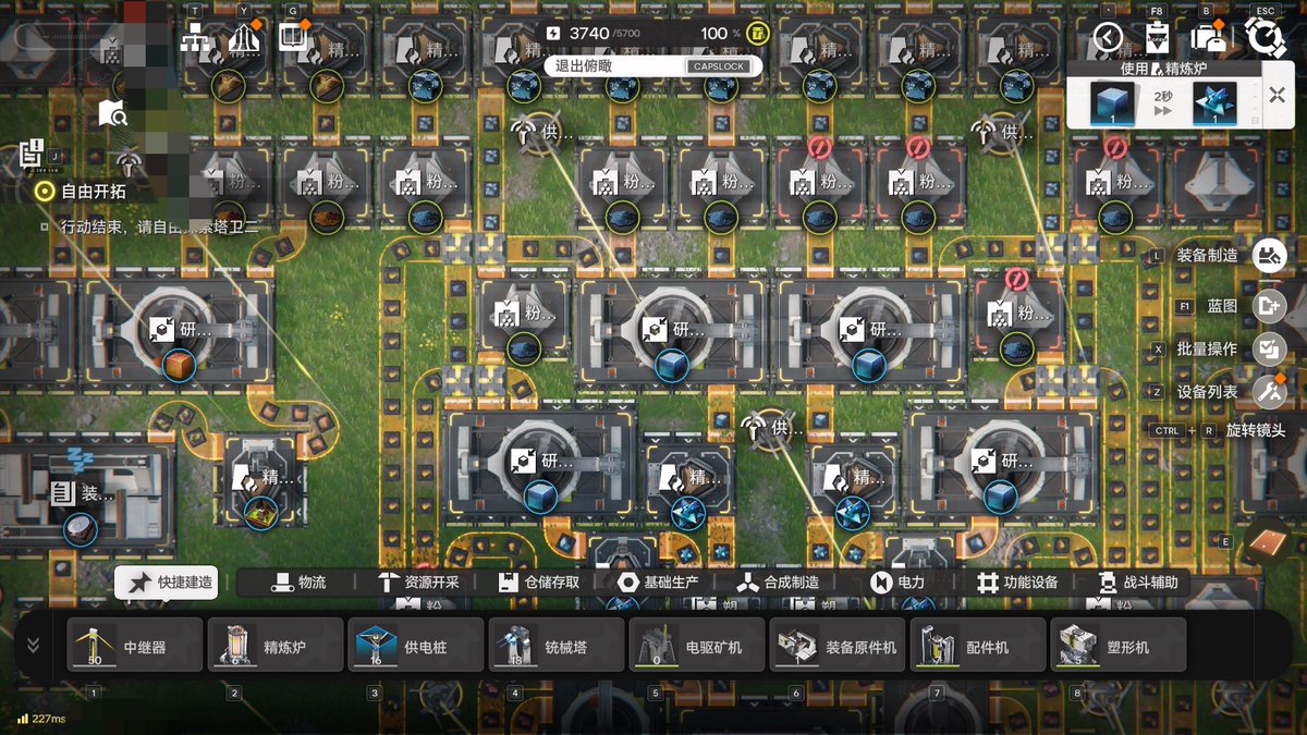 Myosotis tweet media