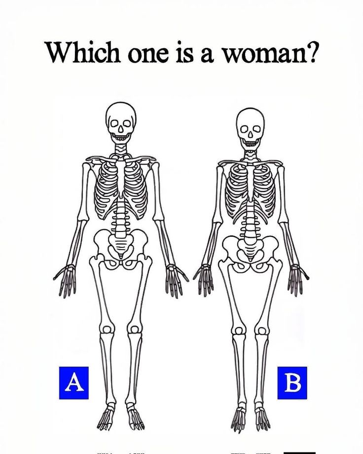Vesper_2005's tweet image. Which one is a women ?