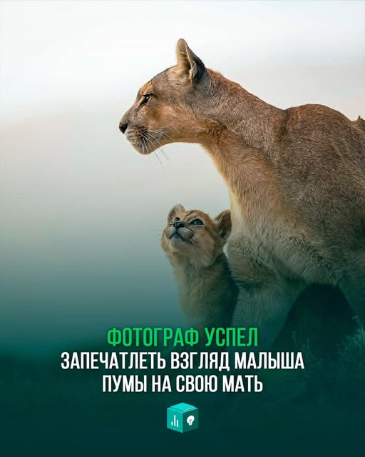 AGNATHEO's tweet photo. https://t.co/cnXxFVMU9w