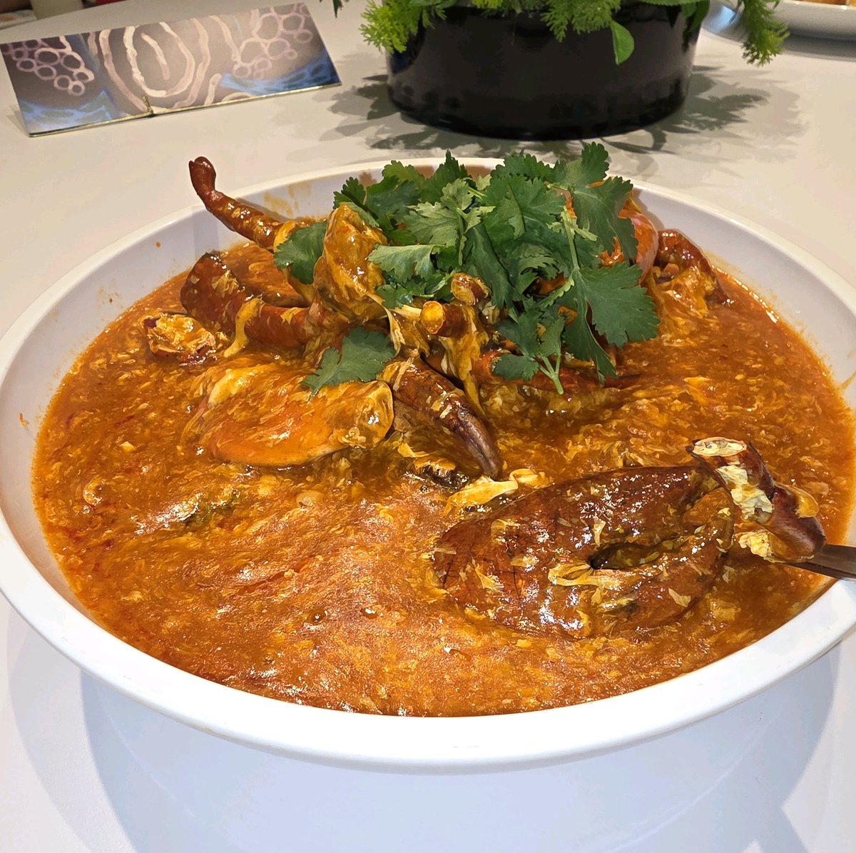 RIIZE WEVERSE tweet media