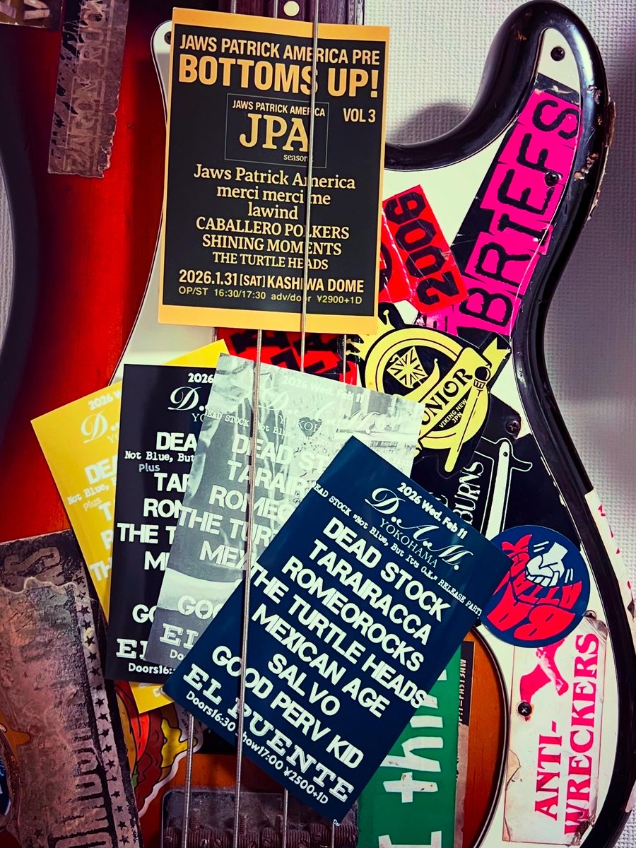 The Turtle Heads tweet media