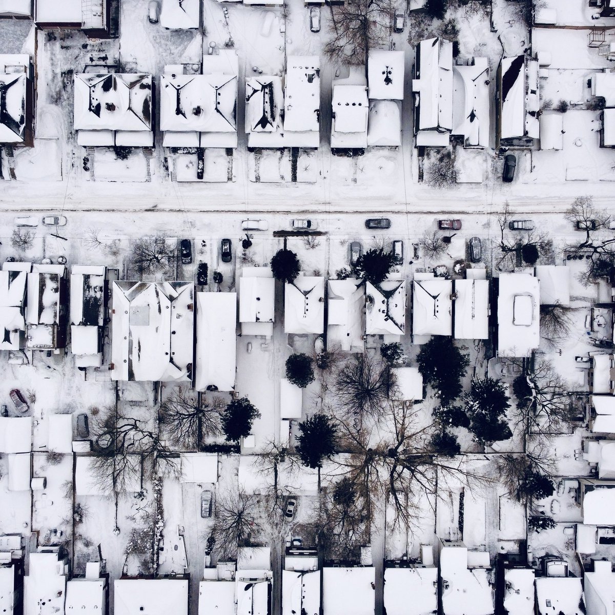 Craig DesBrisay tweet media