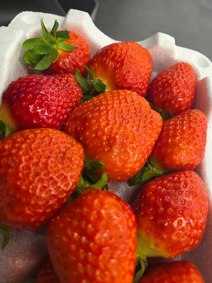 RIIZE WEVERSE tweet media