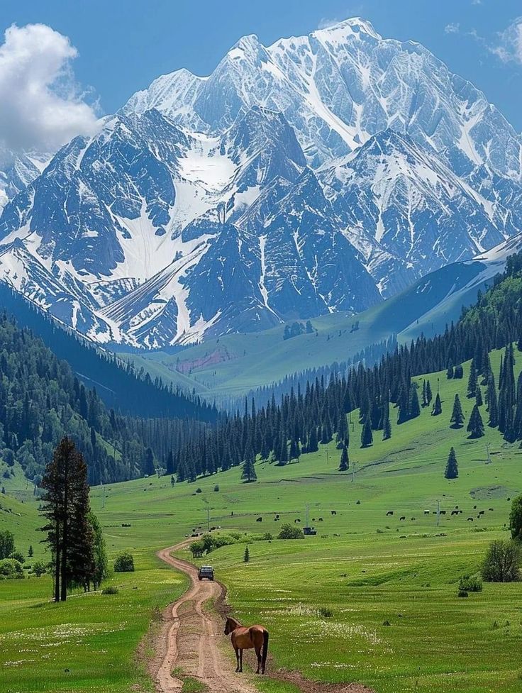 Switzerland 🇨🇭