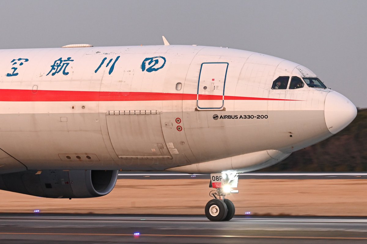 上野動物園の双子のパンダ、シャオシャオとレイレイの返還に伴い飛来