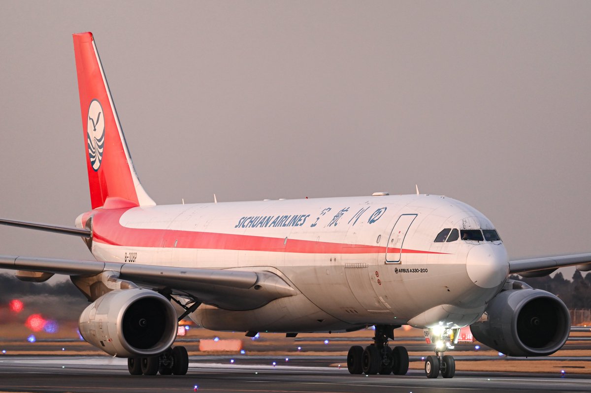 上野動物園の双子のパンダ、シャオシャオとレイレイの返還に伴い飛来