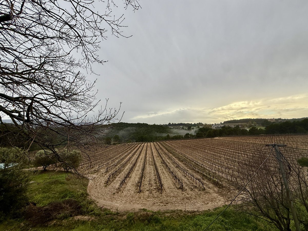 Pep Espelt tweet media