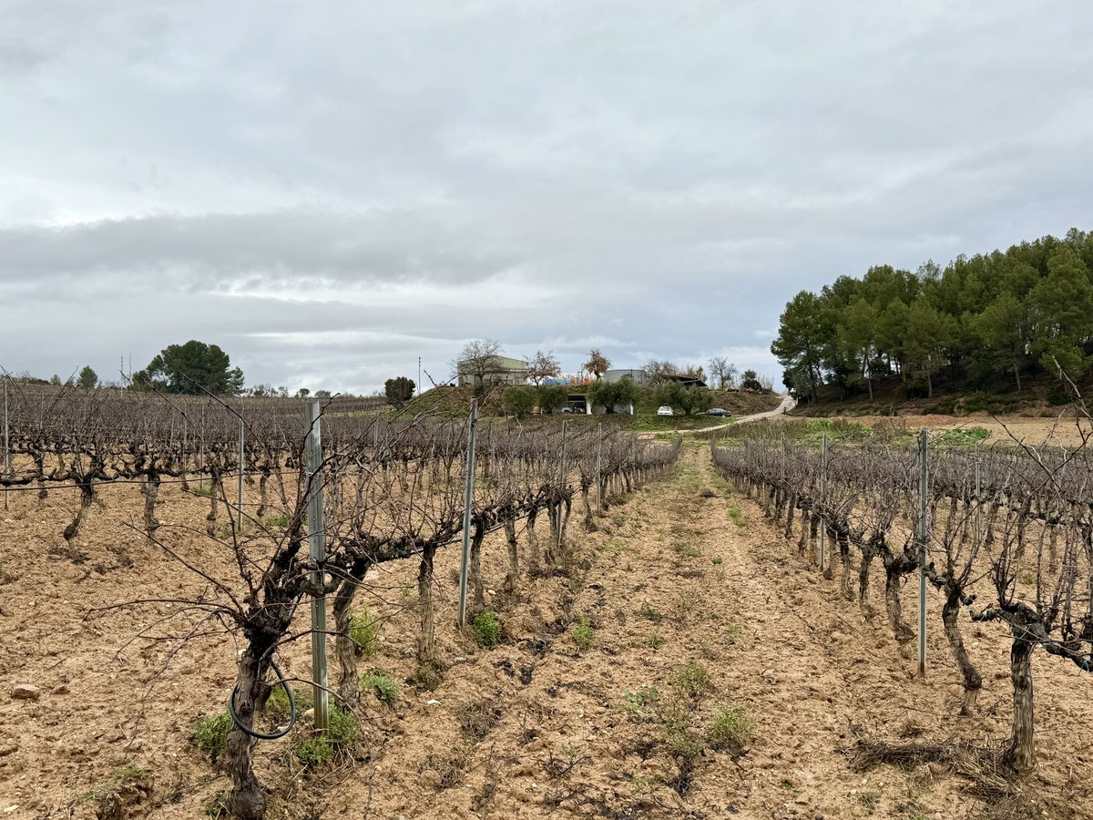 Pep Espelt tweet media