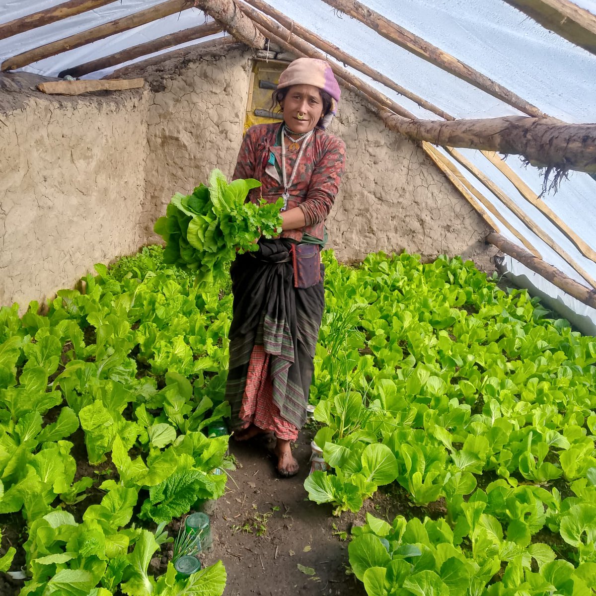 Adara Group tweet media