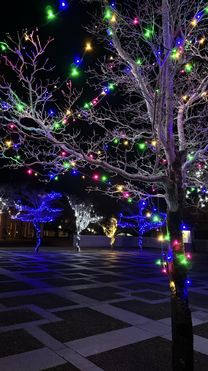 CBO_USP's tweet photo. 【冬宵桜～30th Anniversary Winter Illumination～】

《展示期間》
2025/12/22~2026/1/21   16:30~20:30

※土日祝、冬季休業期間除く https://t.co/KCs1L5cOKd