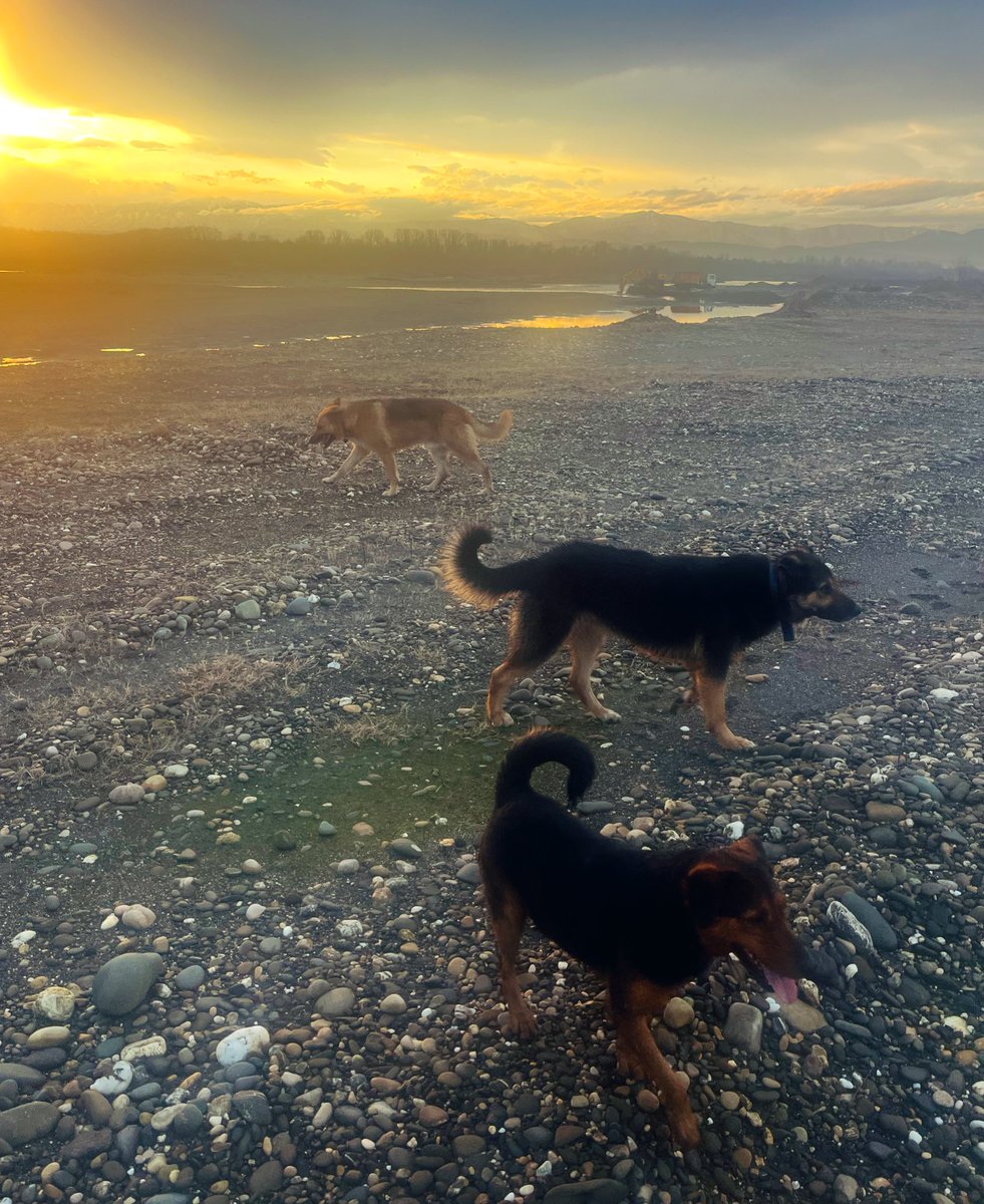 Zuerst an den Pferdefluss und dann zu Hause das angetroffen. Zwei Welten derselbe Tag und nur knapp 10Min zwischen diesen zwei Variationen.

#HofMarani

hofmarani.org