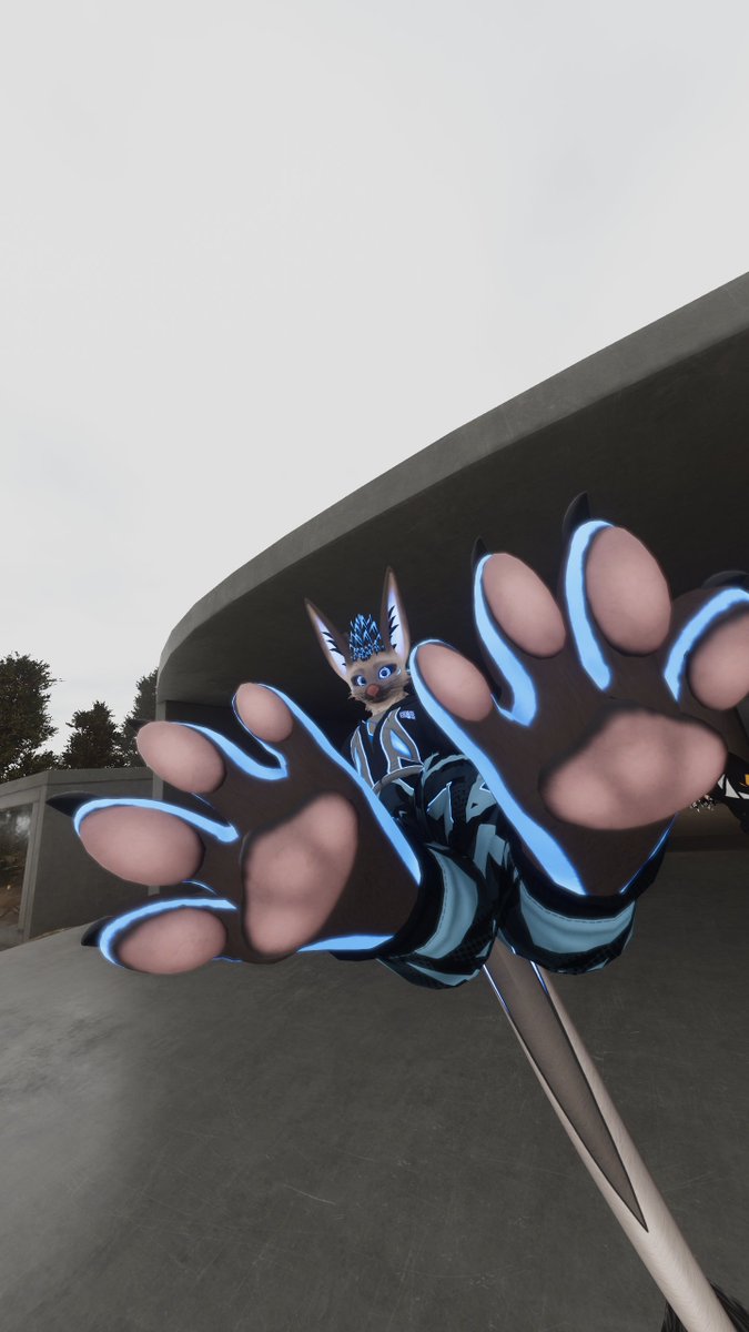 PLPlolol tweet media