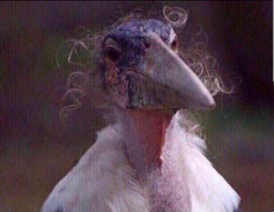 ‏محمد 🇰🇼 tweet media