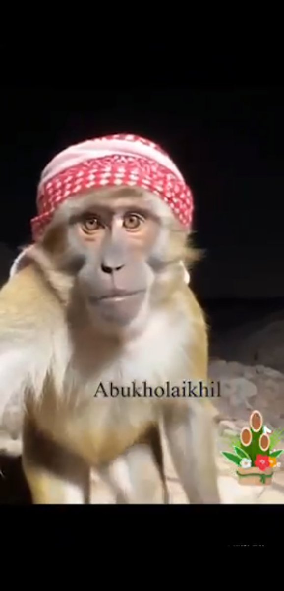 يا عصمان.. احسن من اللي راحو يصورون مع كأس الفيصلي... وشف وجه العنز واحلب......يا شبيه الورد..