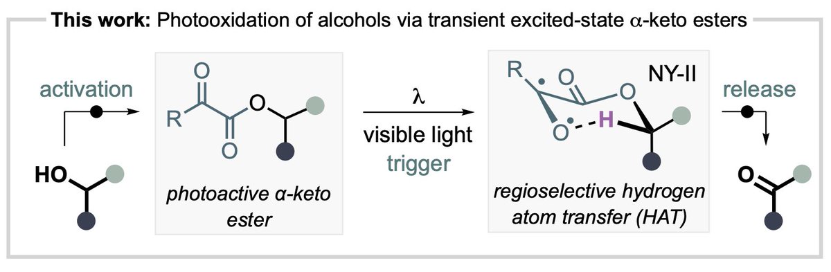 Anastasios Polyzos tweet media