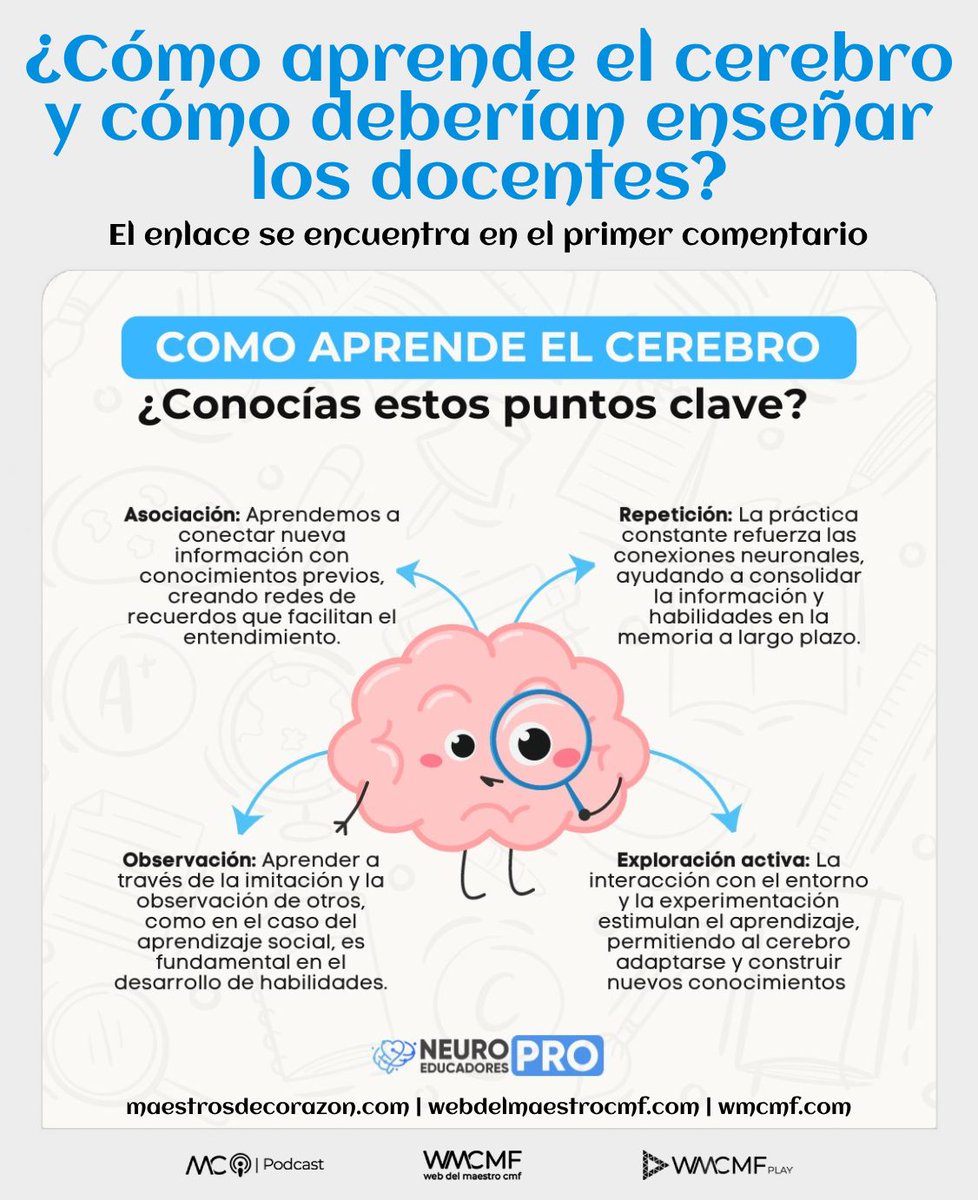 cmf_w's tweet photo. ¿Cómo aprende el cerebro y cómo deberían enseñar los docentes? Enlace: https://t.co/PutkBv0wV1 https://t.co/6GkvaOOVlh