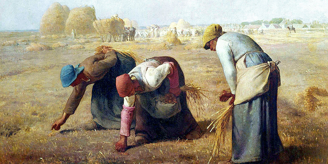 Miguel Escribano ن tweet media