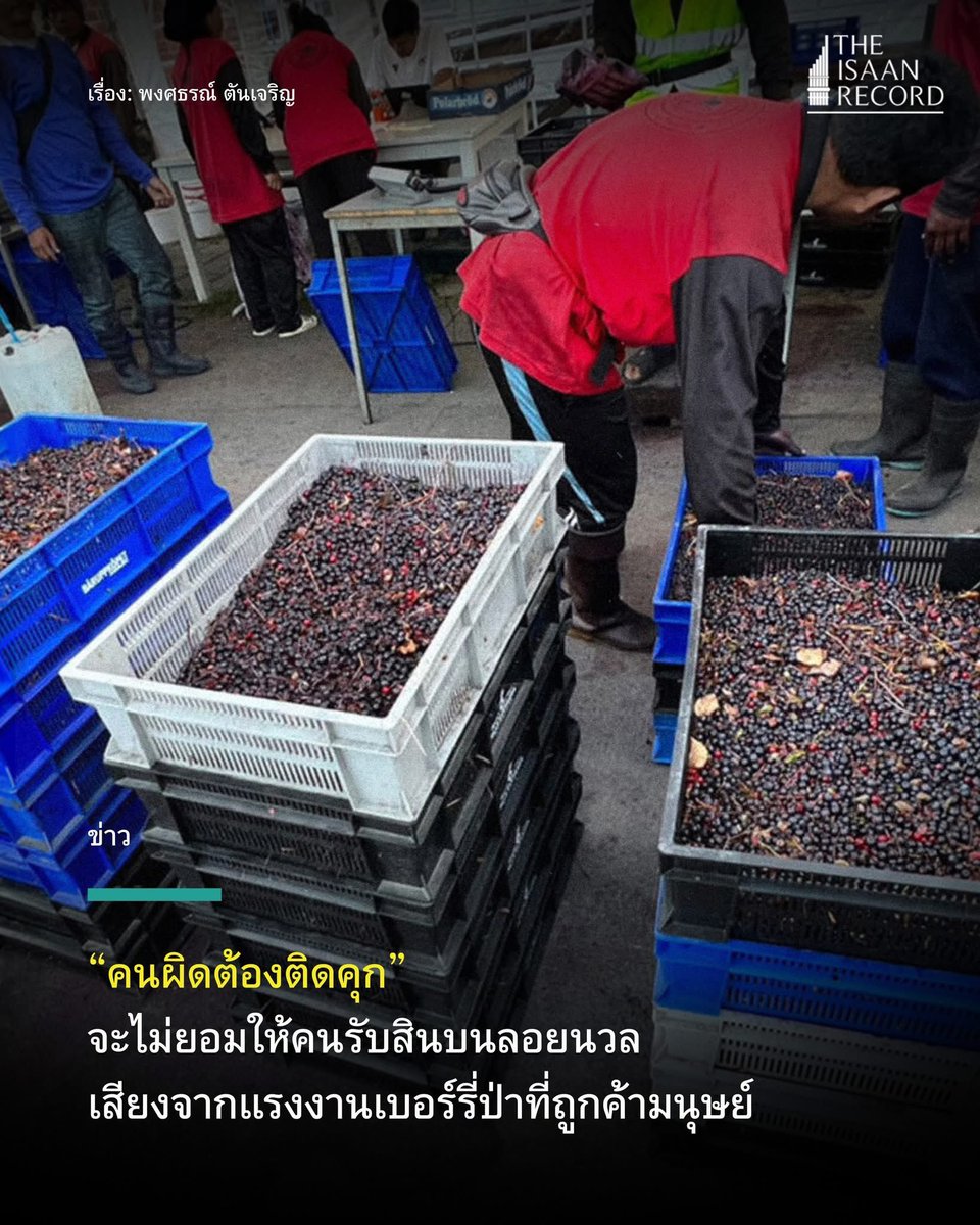 isaanrecord's tweet image. “เราจะไม่ยอมปล่อยผ่าน ด้วยการให้คนรับสินบนลอยนวล เพราะคนเหล่านี้มีส่วนเกี่ยวข้องกับการค้ามนุษย์ จะดำเนินการให้ถึงที่สุดเพื่อให้คนเหล่านี้ติดคุก”

เสียงสะท้อนจากเจนปรียา จำปีหอม ประธานสหภาพคนทำงานต่างประเทศฯ ประกาศหลังดีเอสไอ…