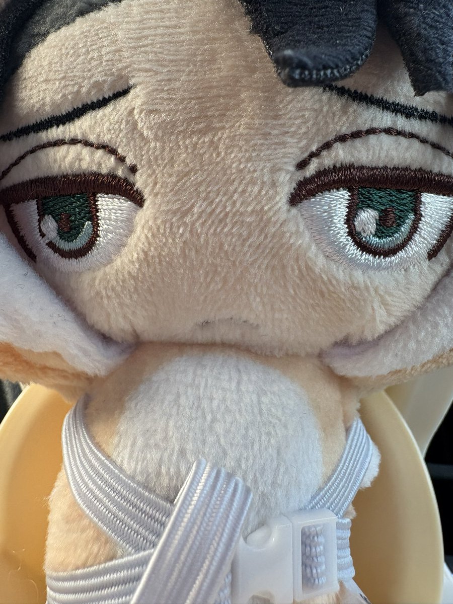 じゃあみんな！おれは行くぜ

連れ↓