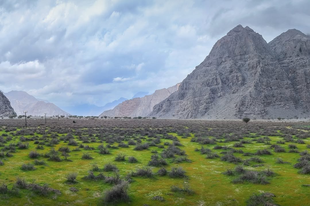 الخيمة العُمانية🇴🇲 tweet media