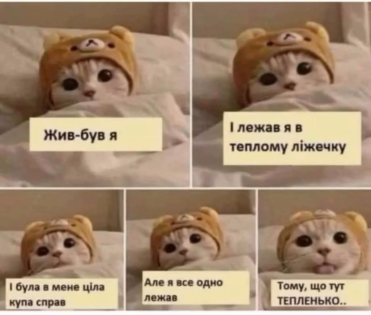 Гумор меми і приколи Сема 😹✌️ (@prikolsema) on Twitter photo 