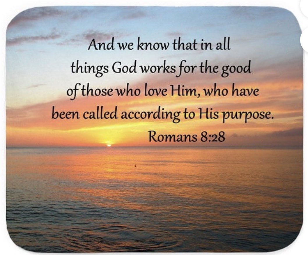 Angelmom337's tweet image. Happy Wednesday, family!