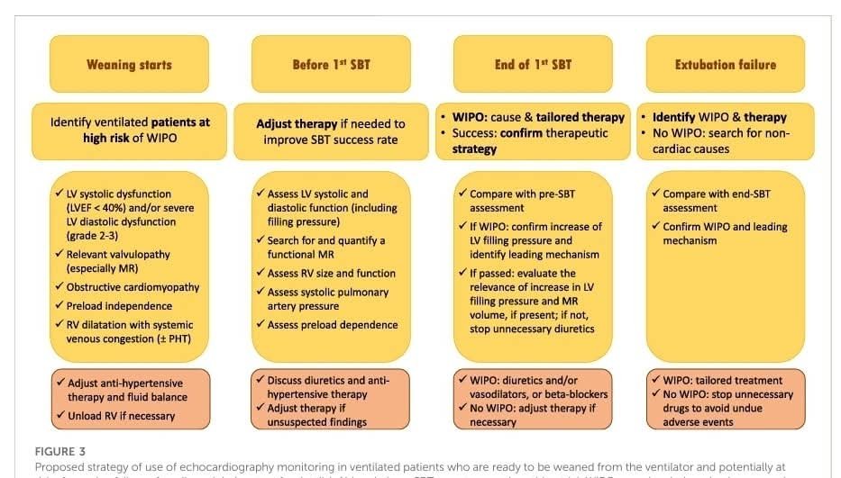 LeslieMegom's tweet photo. 👩🏻‍⚕️👨🏽‍⚕️↔️Interacción  cardiopulmonar 🫀🫁durante el destete del ventilador.,🪭
Notas cafeteras : ☕
🫁🫀El destete de la ventilación a presión positiva se ha comparado con una prueba de esfuerzo para el sistema cardiovascular ,💠La PRUEBA DE RESPIRACIÓN  ESPONTÁNEA ( SBT) induce cambios hemodinámicos abruptos y aumenta el trabajo de respiración, lo que en última instancia puede resultar en un aumento de la presión de llenado del ventrículo izquierdo (LV) 🫀y un posterior edema pulmonar (WiPO) inducido por el destete.
🫁🫀Cambios hemodinámicos con la  interrupción de la ventilación a presión positiva aumenta el retorno venoso, la carga posterior del Ventriculo Izquierdo
🫁🫀Un mayor consumo de oxígeno en los músculos respiratorios y una carga de trabajo cardíaco y pueden inducir isquemia cardíaca y una disminución del cumplimiento del Ventriculo Izquierdo causando un aumento abrupto de la presión de llenado del VI  (Perren y Brochard). 
🫁🫀 El  estrés cardiovascular inducido por una prueba de fuga es más pronunciada en pacientes con reserva cardíaca reducida y sobrecarga de volumen.
🫁🫀 *SBT 😮‍💨en pacientes con enfermedades pulmonares obstructivas y restrictivas graves, EPOC, la carga posterior del ventricular derecho (VD) también puede aumentar en función del empeoramiento de la hipoxemia, la hipercapnia.
☕TENER ENCUENTA QUE ..⬇️⬇️⬇️⬇️
🫁🫀Durante la ventilación mecánica,🪭 particularmente al emplearse una PEEP o volumen corriente altos durante la inspiración, aumenta la presión pleural, disminuye la presión transmural del VI y reduce la postcarga del VI, ayudando a la eyección del VI incluso si la presión arterial también aumenta, es  notable en pacientes con falla cardiaca congestiva.  estos efectos incrementados del volumen en el VI están limitados por la disminución⬇️ asociada en el retorno venoso 💥 si el volumen pulmonar aumenta, la resistencia vascular pulmonar también eleva la impedancia de la eyección del VD. 
🫁🫀Por lo tanto, la combinación del aumento de la presión intratorácica incrementa el gradiente de presión para el retorno venoso, además del aumento inducido por el volumen pulmonar en la resistencia vascular pulmonar puede generar un gasto cardiaco críticamente bajo. Aun así, este efecto de la ventilación con presión positiva es útil en ciertos estadios de enfermedad como insuficiencia cardiaca sistólica izquierda,❤️ especialmente si se minimizan los aumentos de volumen pulmonar. Una causa probable de falla del VI durante el destete
🫀🫁La Ventilación a presión positiva
del ventilador puede ser el incremento asociado de la postcarga del VI inducido por las disminuciones fásicas de la presión intratorácica con cada respiración espontánea con su aumento obligatorio en el consumo de O2 miocárdico. Este fallo del VI asociado al destete de la ventilación mecánica puede ser la causa principal del fracaso del destete en pacientes críticamente enfermos con ventilación mecánica (VPP) influirá en la Precarga  y Postcarga de ambos ventrículos. A nivel de ventrículo derecho, la VPP determina un aumento de la presión intratoracica lo que aumen ta la presión en la aurícula derecha, disminuyendo la gradiente de presión para el retorno venoso, lo que de terminará una disminución del llenado de la AD y por consecuencia del VD. A nivel de la PostC del ventrículo derecho, la VPP determina un aumento del volumen pulmonar con el consecuente aumento de la presión alveolar principalmente  de los vasos alveolares,  lo que produce un aumento de la RVP, aumentando la PostC del VD y disminuyendo el flujo sanguíneo pulmonar (FSP).
👇🏻👇🏻👇🏻👇🏻👇🏻
https://t.co/LZ0rUrIYQW
🔏
https://t.co/N7uhhBKHvO