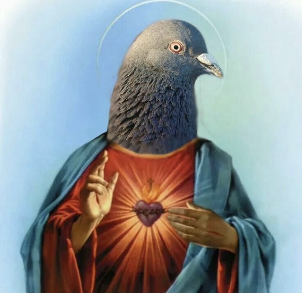 bc__lord's tweet image. Patron Saint of the Overlooked.

$fidelis