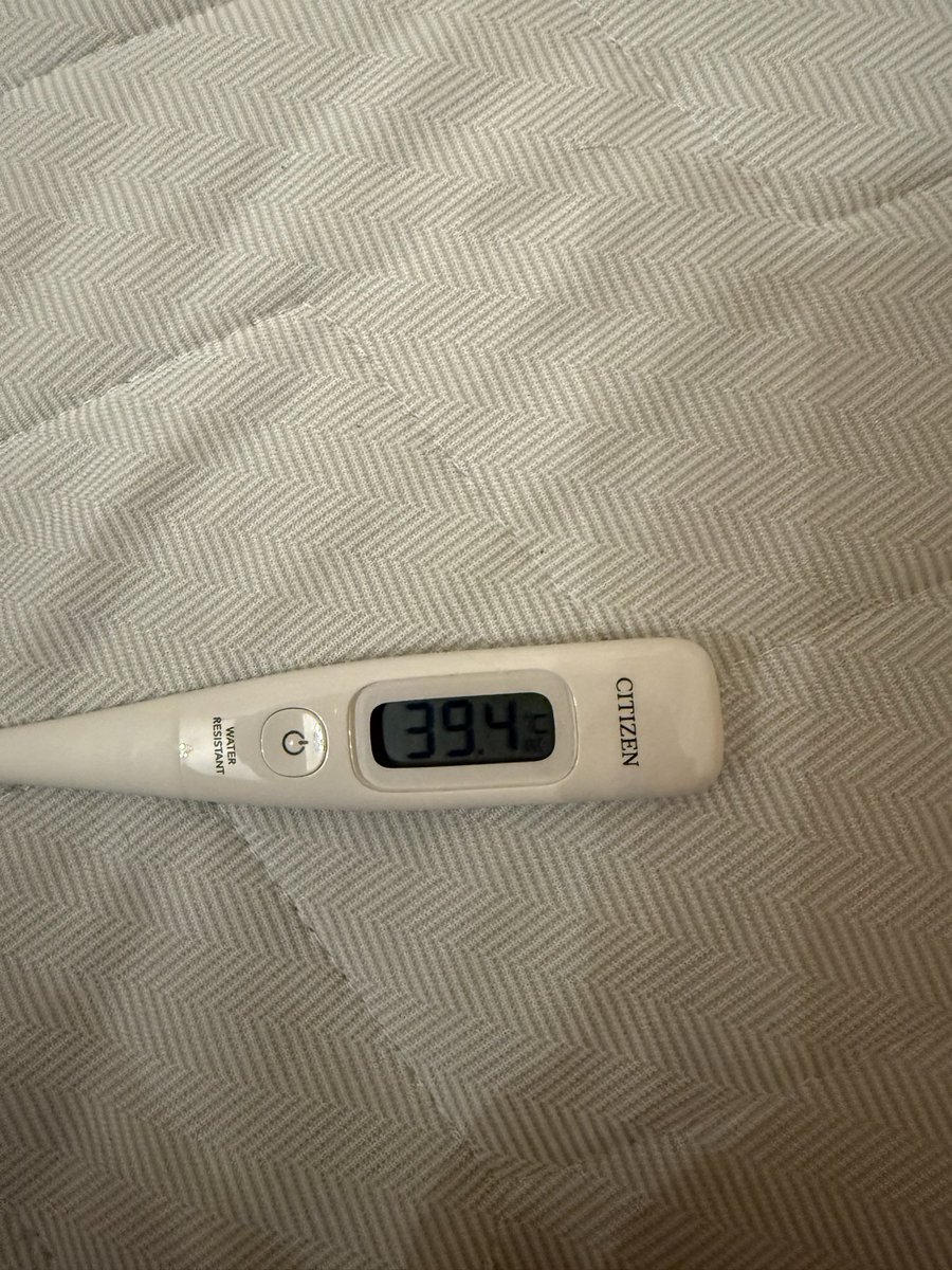 ぽこちゃん🍀🍀 tweet media