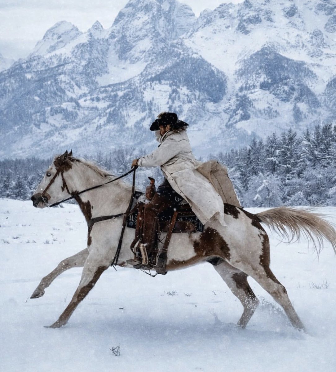 LonesomeChance's tweet photo. Winter though it could break us, but we were built for harder miles than this.
Let the cold keep its warning. My horse will cut a part of steam straight through the mountain. https://t.co/8ZIjvXLBAq
