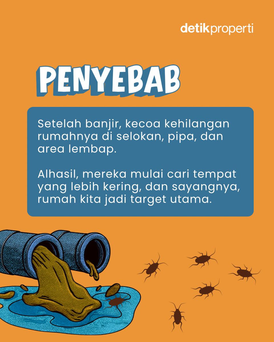 detik_properti's tweet image. Kok bisa ya kecoa muncul setelah banjir? 🪳 Dan yang lebih penting… gimana cara ngatasinnya biar nggak balik lagi? 🤔

Yuk langsung swipe carousel-nya biar rumah aman, nyaman, dan bebas drama kecoa! 👉

#detikProperti #Banjir #TipsRumah #Kecoa