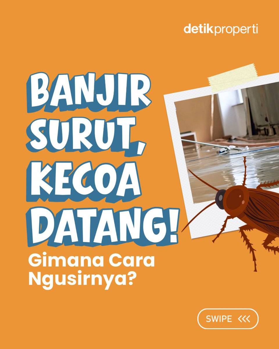 detik_properti's tweet image. Kok bisa ya kecoa muncul setelah banjir? 🪳 Dan yang lebih penting… gimana cara ngatasinnya biar nggak balik lagi? 🤔

Yuk langsung swipe carousel-nya biar rumah aman, nyaman, dan bebas drama kecoa! 👉

#detikProperti #Banjir #TipsRumah #Kecoa