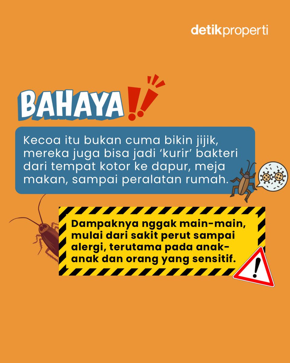 detik_properti's tweet image. Kok bisa ya kecoa muncul setelah banjir? 🪳 Dan yang lebih penting… gimana cara ngatasinnya biar nggak balik lagi? 🤔

Yuk langsung swipe carousel-nya biar rumah aman, nyaman, dan bebas drama kecoa! 👉

#detikProperti #Banjir #TipsRumah #Kecoa