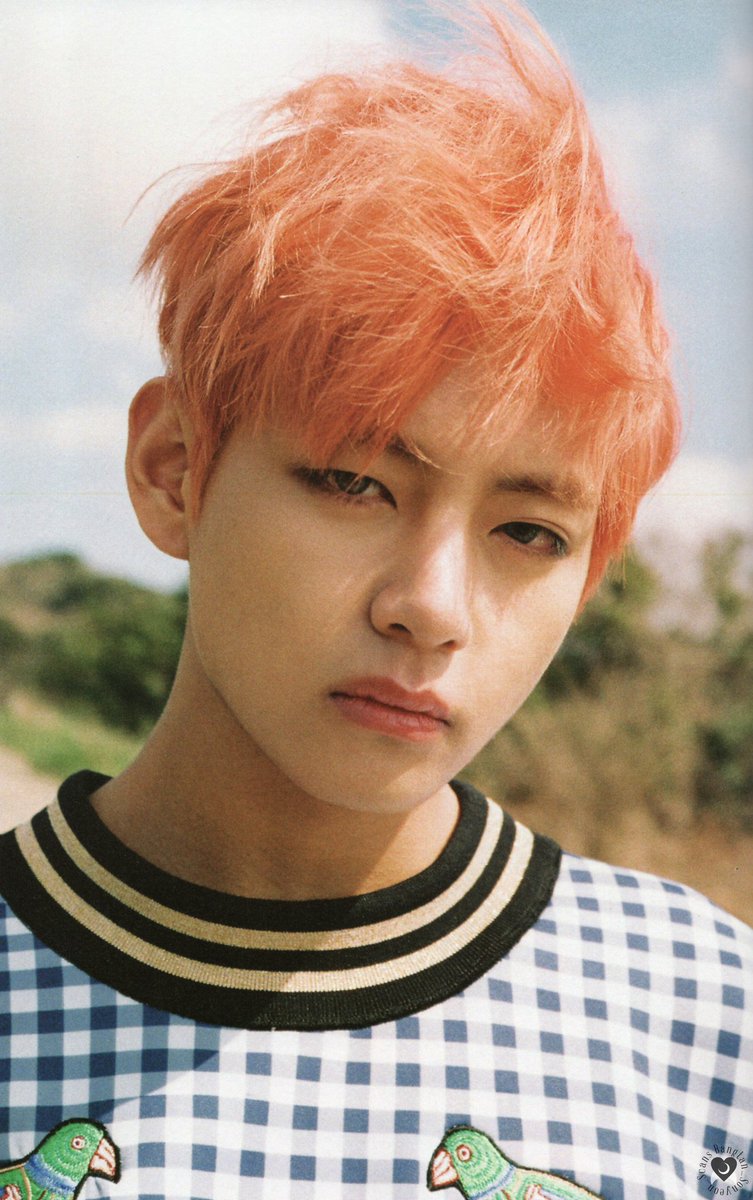 btsfancafe__twt's tweet photo. [scan] BTS Young Forever Night Version 

#V #방탄소년단 #BTS https://t.co/TBT6FnK73r