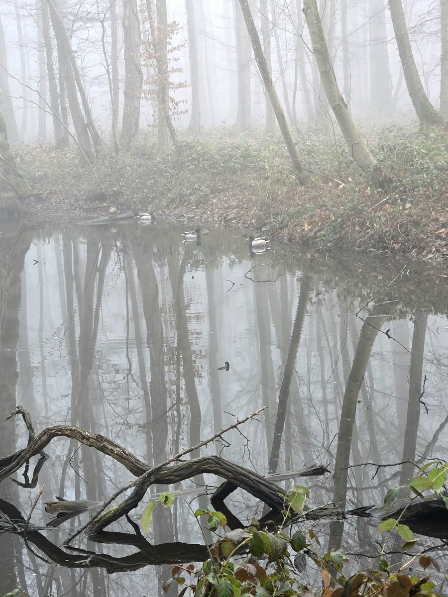 Bonjour, très belle journée