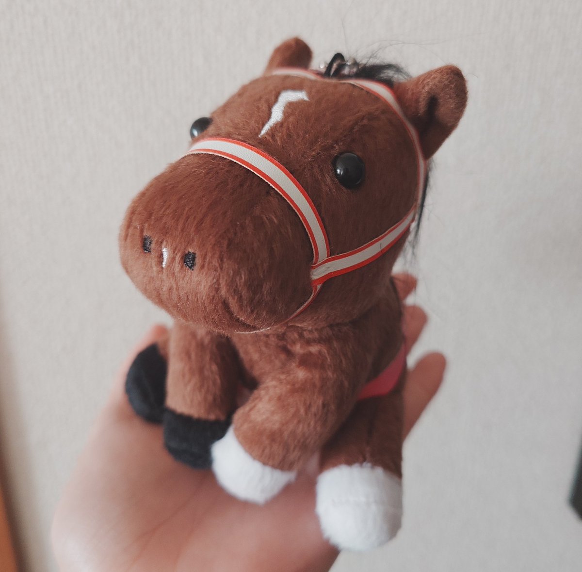 アイドルホースぬいラヴズオンリーユーお迎えした！かわちい