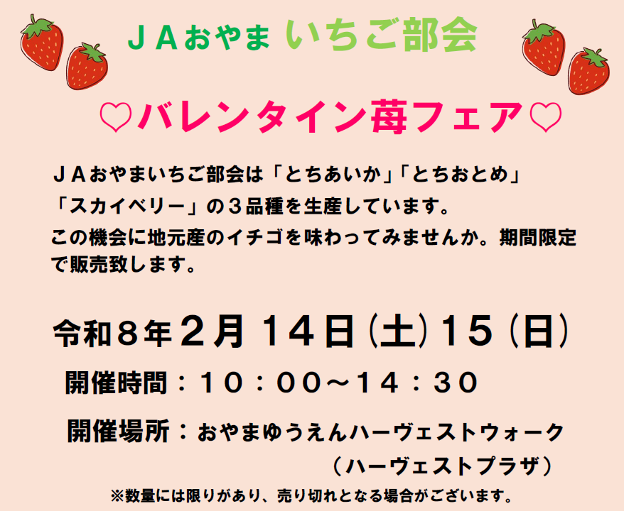 令和８年２月１４日と１５日の両日、おやまゆうえんハーヴェストウォークで、バレンタイン苺フェアを開催いたします🍓
甘くて美味しいイチゴをたくさんご用意してお待ちしております✨💖✨

#いちご　#イチゴ　#とちあいか　#とちおとめ　#スカイベリー　#JA　#ＪＡおやま