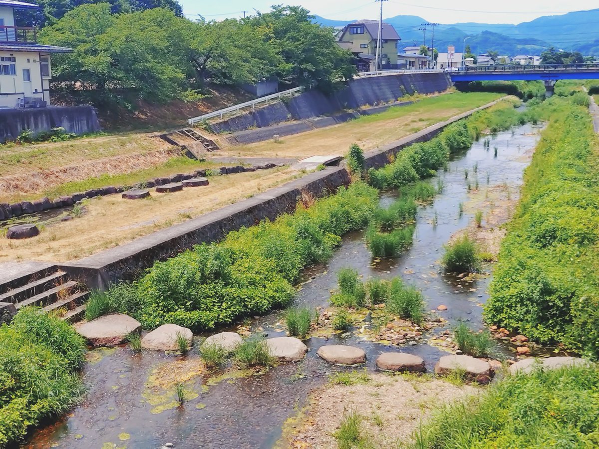 沖神帝国風神特別地区中央工廠@軍事&美プラスキーのデチラー総統でちよ！ tweet media
