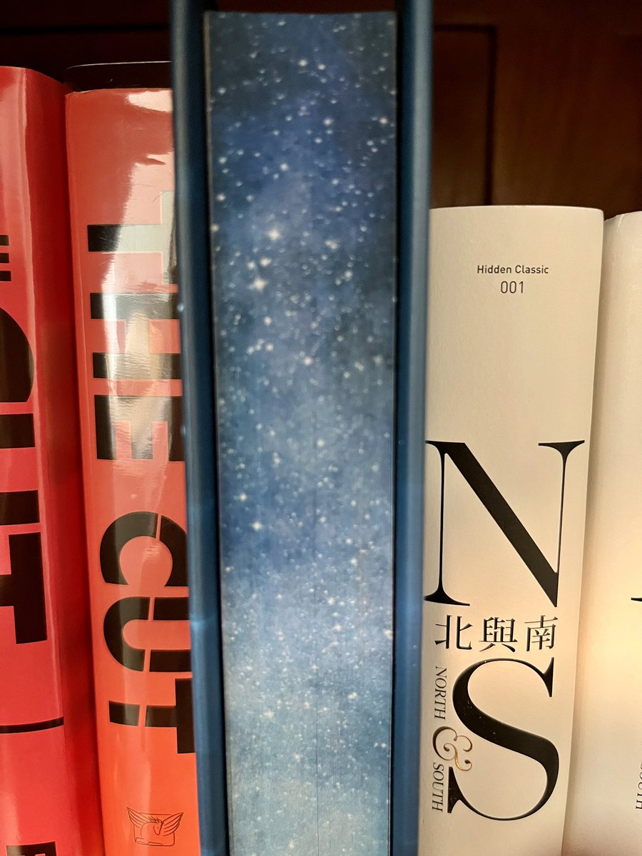I received my signed and dedicated copy of My Husband’s Wife by Alice Feeney. I think it’s beautiful, with a wonderful starry-sky book edge. ❤️