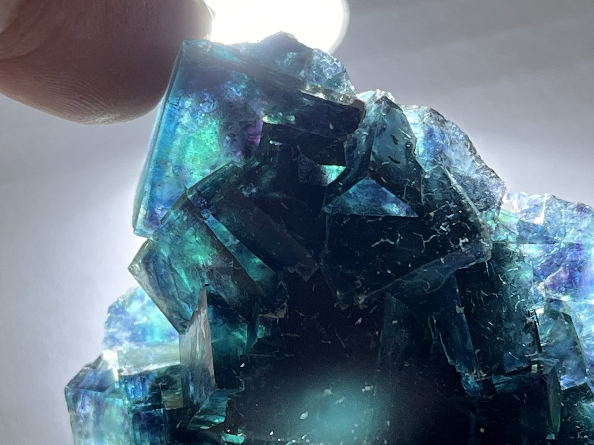 ナミビアオコルス鉱山のバタフライポケットのフローライトを仕入れまし