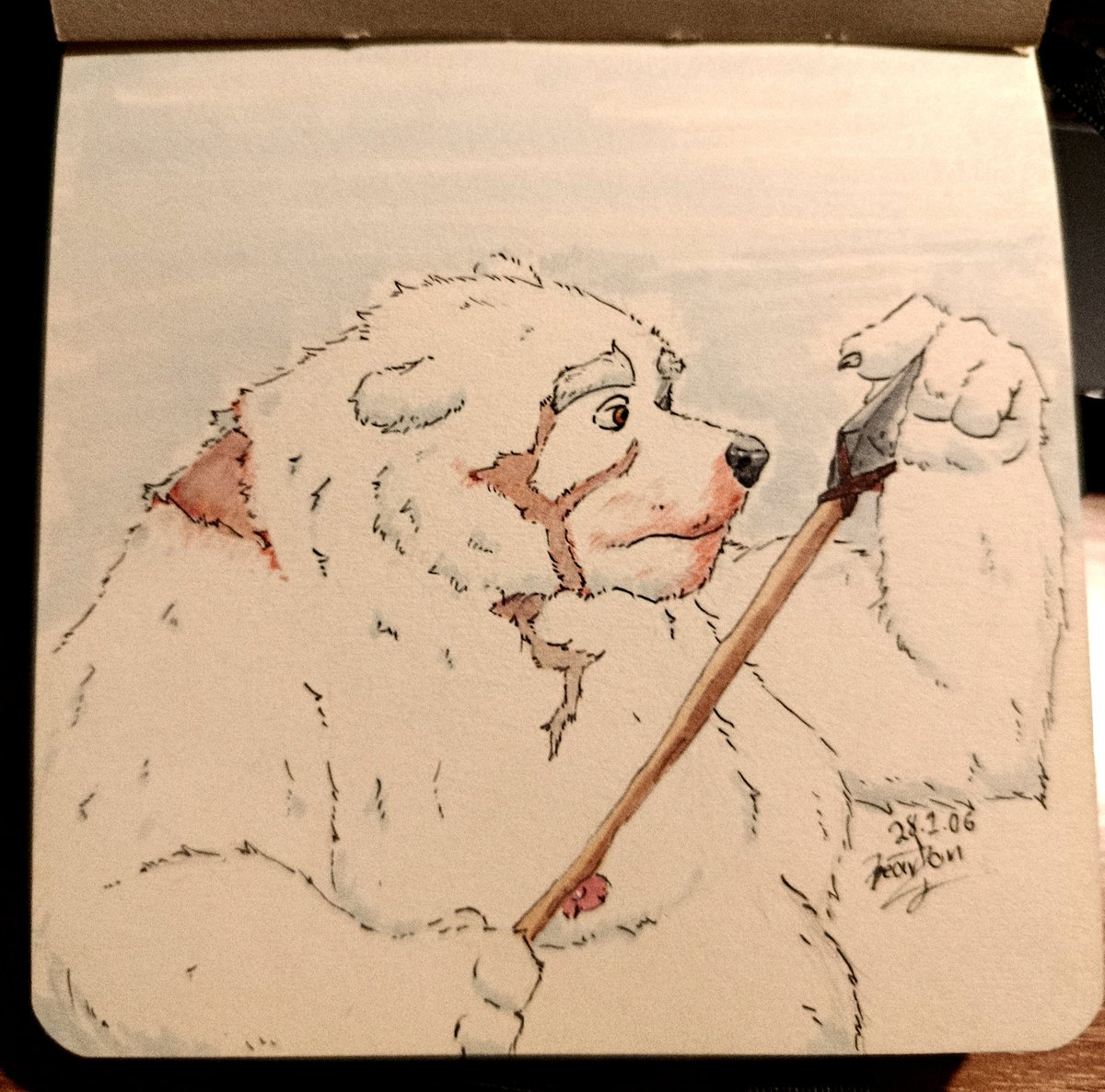 Wild polar bear ❄️🐻‍❄️