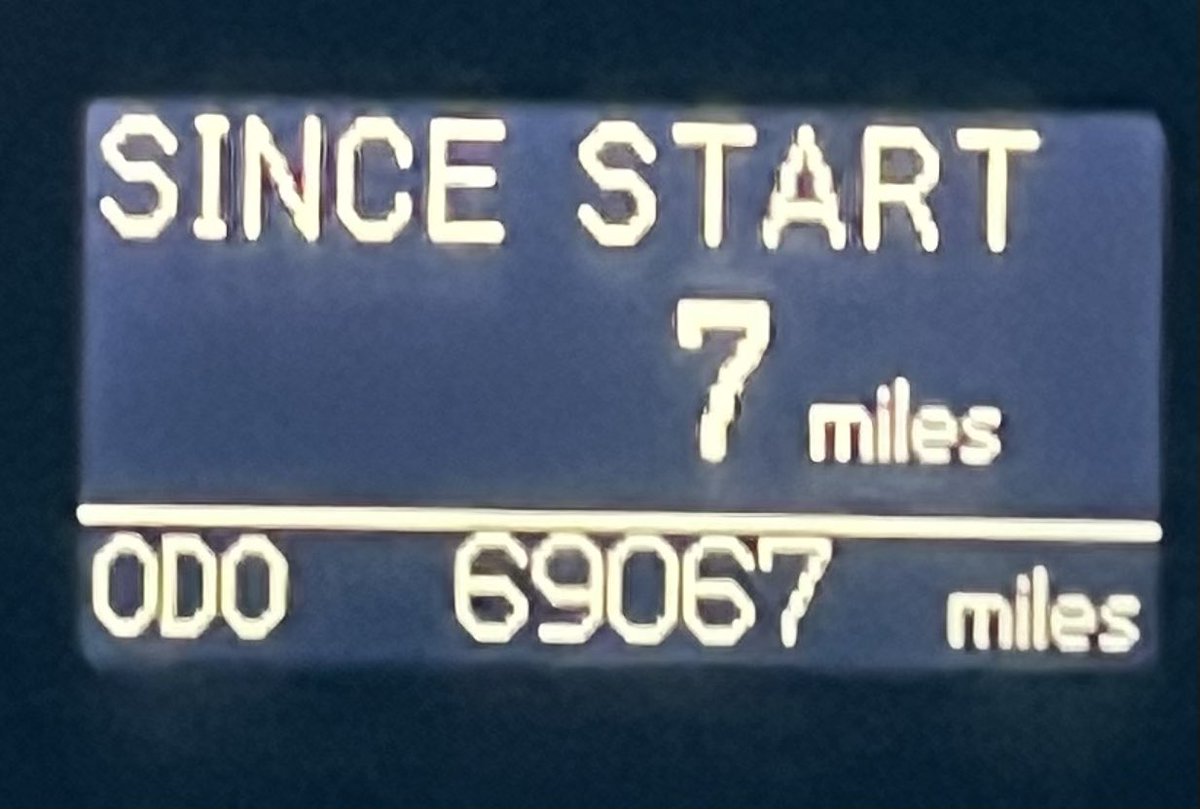 Joni The Deer 🦌 tweet media