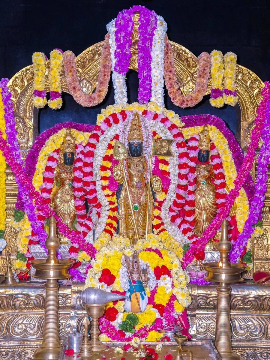 ரத்தினகிரி முருகன் தை கிருத்திகை சிறப்பு அலங்காரம்