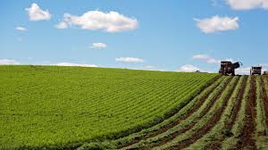 BenedictTPalen's tweet image. Benedict T. Palen, Jr. | Guiding Smarter Farming Decisions #benedicttpalenjr #TrustedProfessional #AgricultureConsultant

…lenjragricultureconsultant.weebly.com/blog/benedict-…