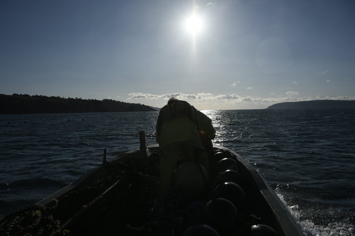 宮城・石巻／小渕浜
牡蠣・ワカメ養殖漁師募集【ヤマダイ佐々木水産】
未経験OK（40歳未満）季節ごとに仕事が変わり、海の一年を丸ごと経験。
月給25〜30万円＋家賃無料宿舎あり。
本気で漁業を続けたい人へ。
 job.fishermanjapan.com/job/8398/
#漁師募集 #牡蠣養殖 #ワカメ養殖 #TRITONPROJECT