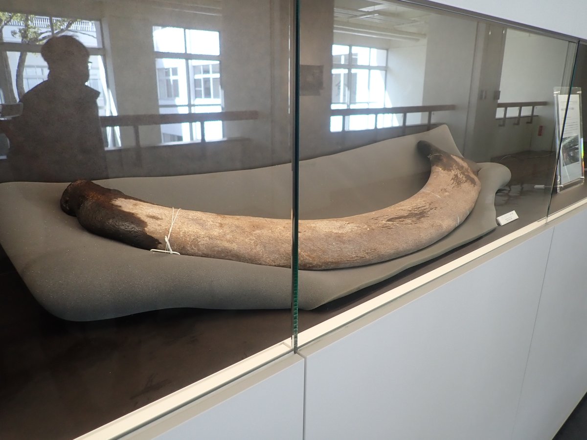 G^3-Χ (@GGG_GorillamanX) / Posts / X